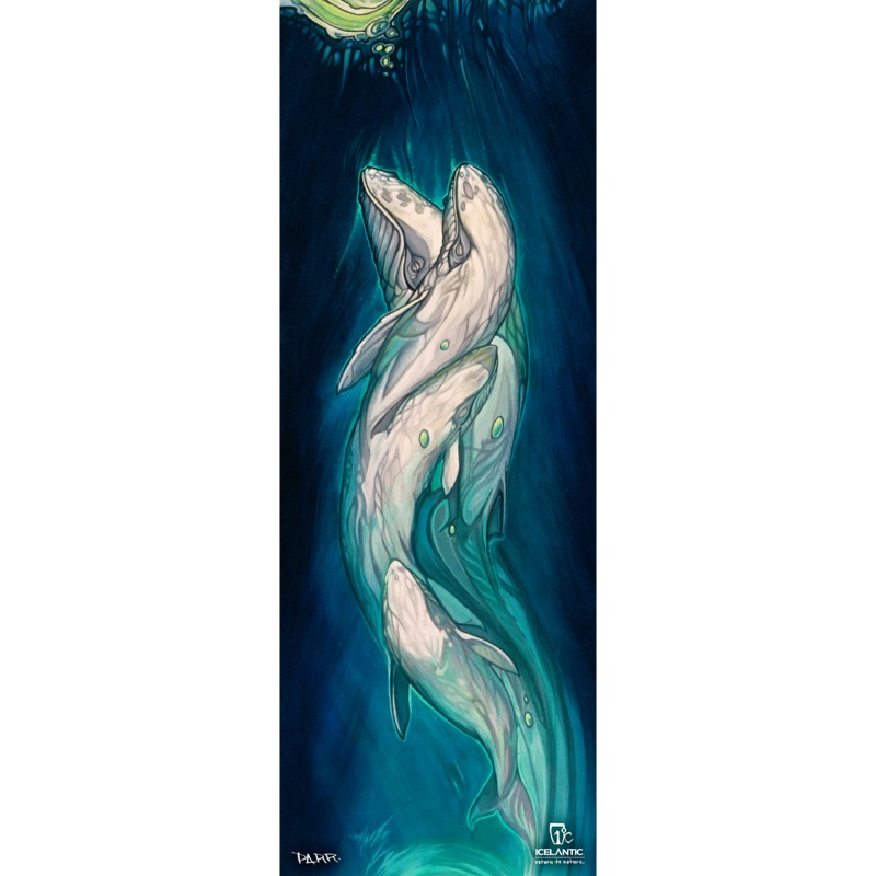 07/08 Shaman Fine Art Print HQ Paper